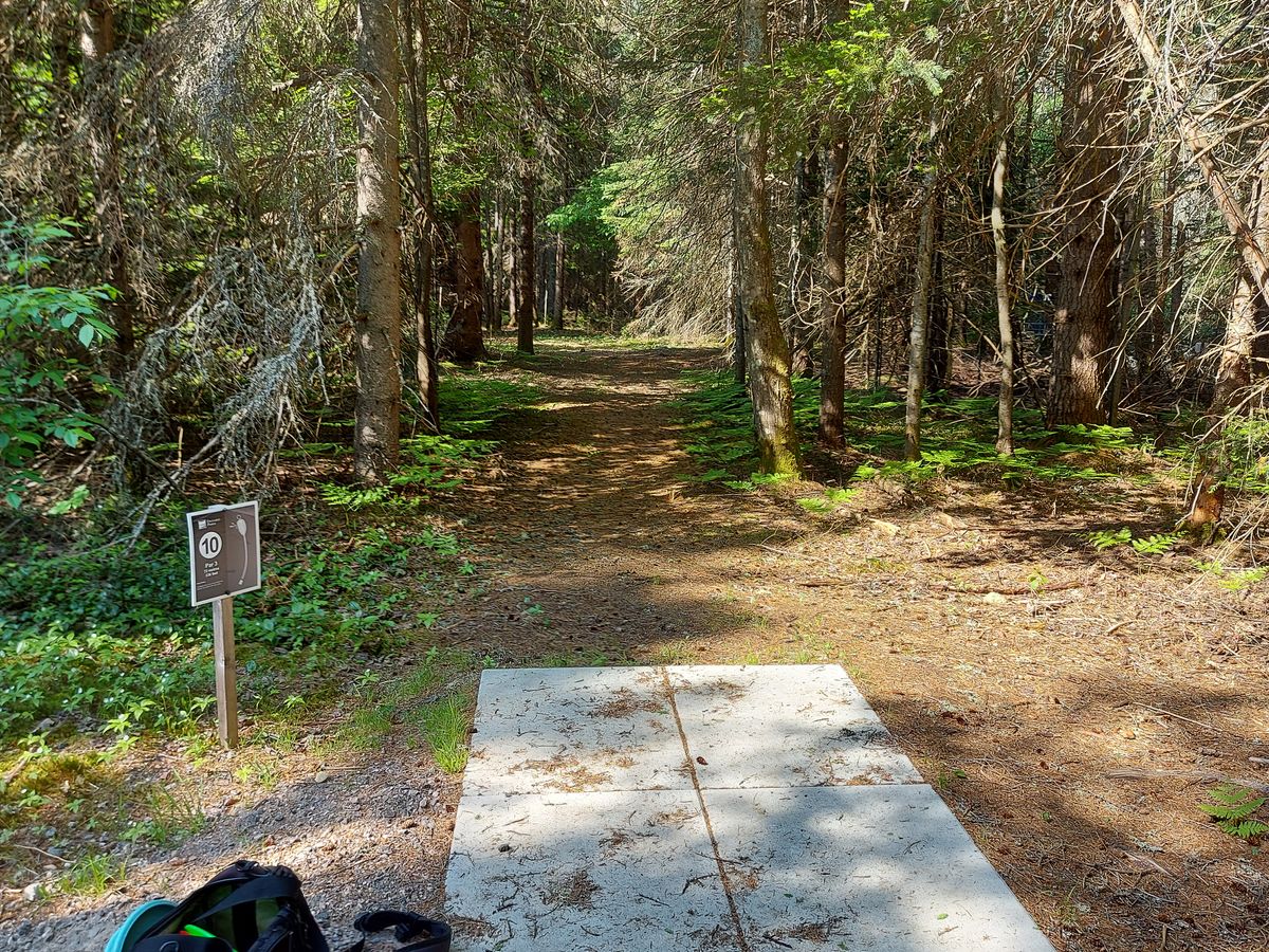 Tee pad 10. 🍁🌲🌲🍁🌲