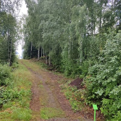 Väylä 5
