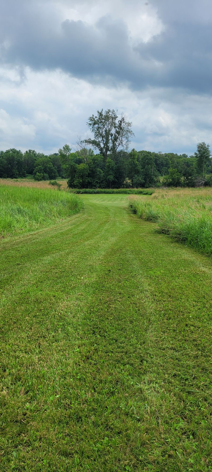 #7 Tee