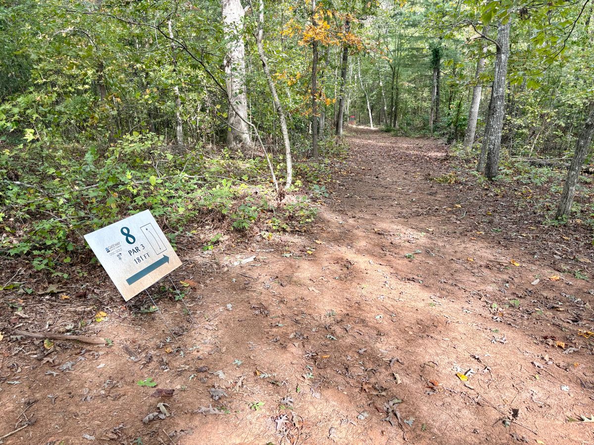 Hole 8 tee