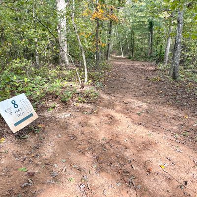 Hole 8 tee