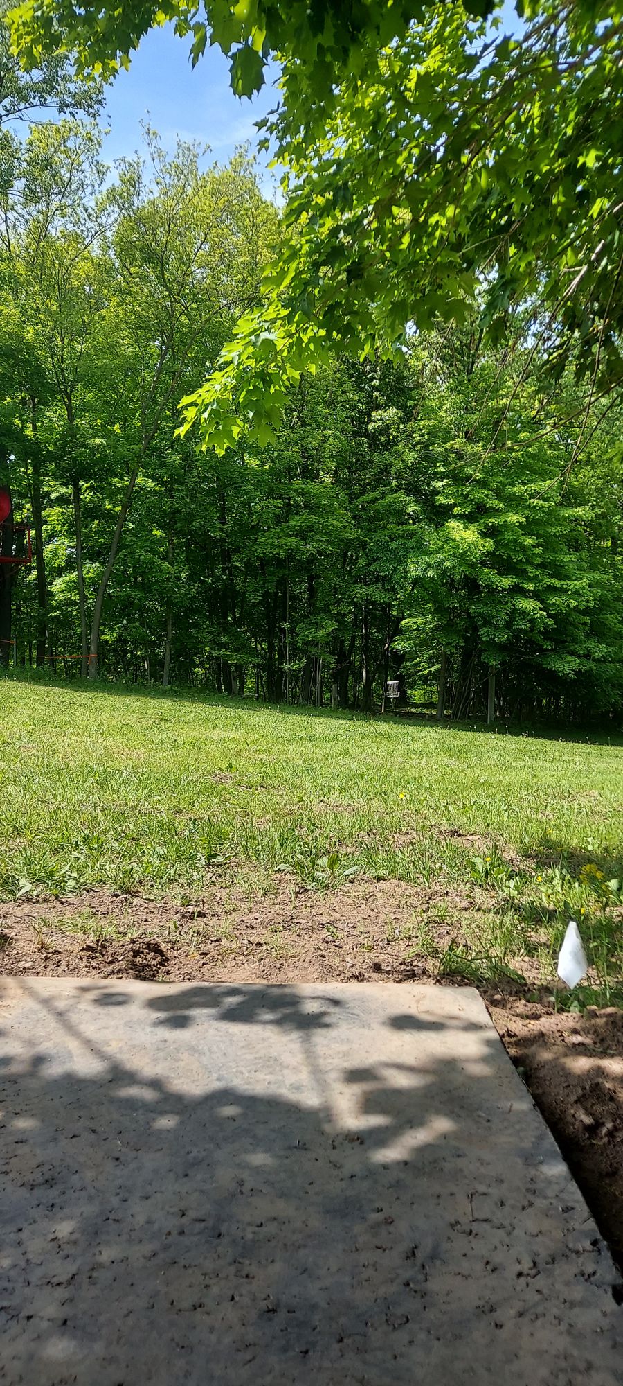 Hole 15 tee