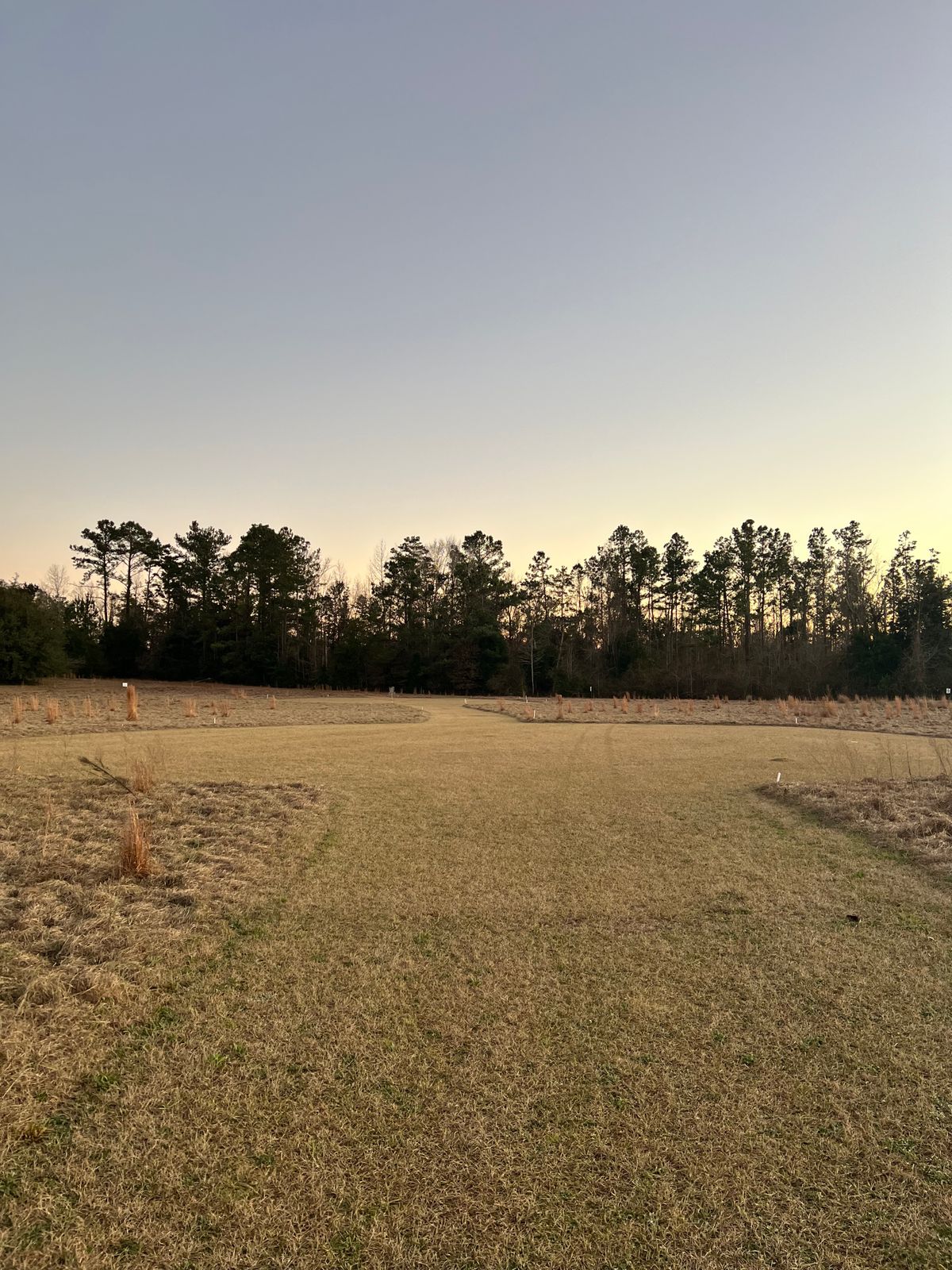 Second Landing Zone Hole 8