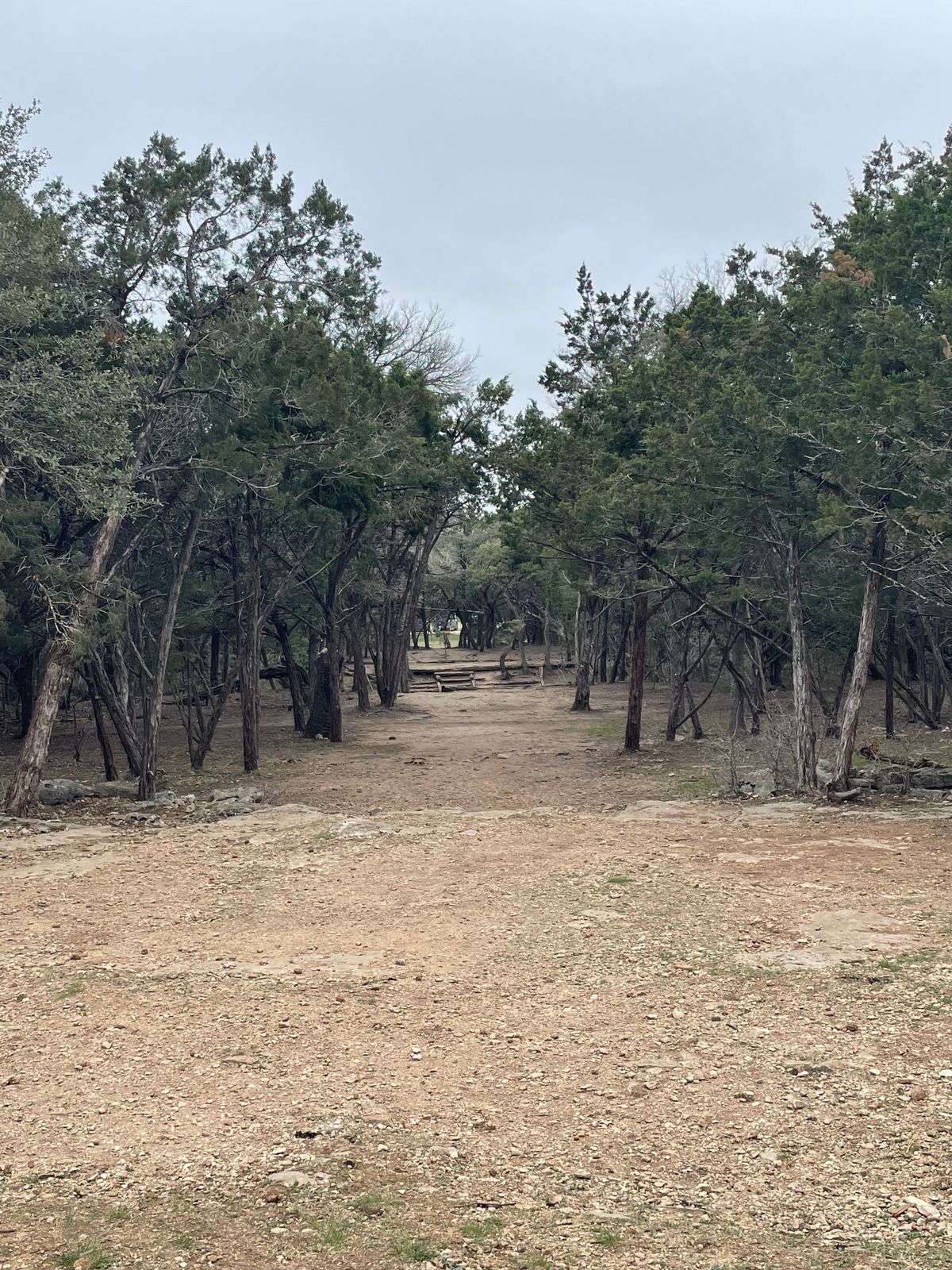 Final Stretch to the basket. Keep it straight and high enough to get over the creek. Getting a birdie/par here is very difficult.