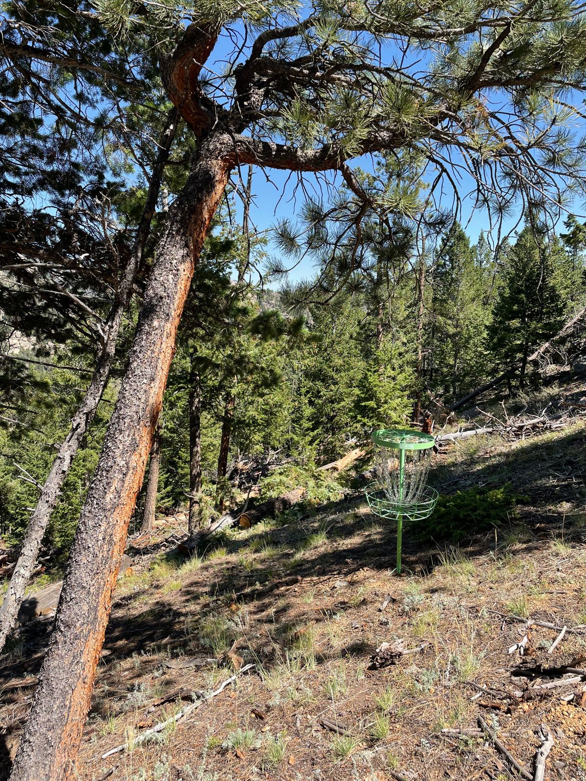 Hole 11 basket
