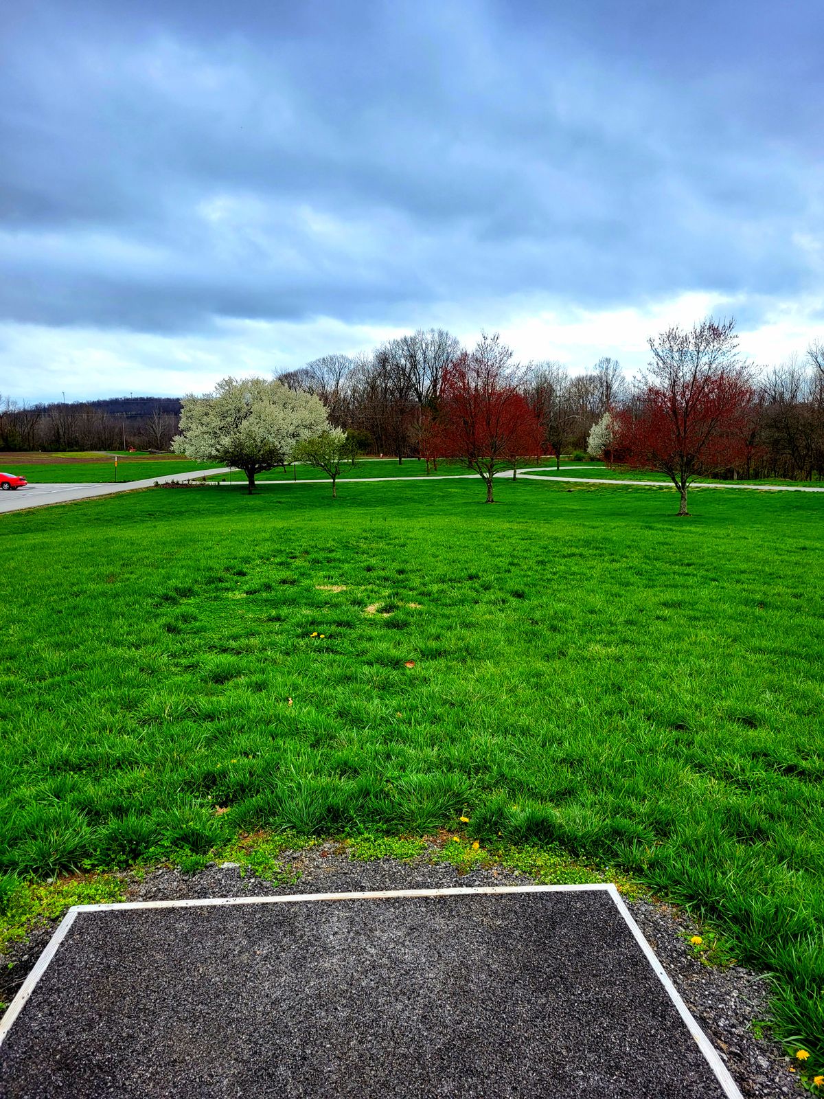 Hole #5 tee