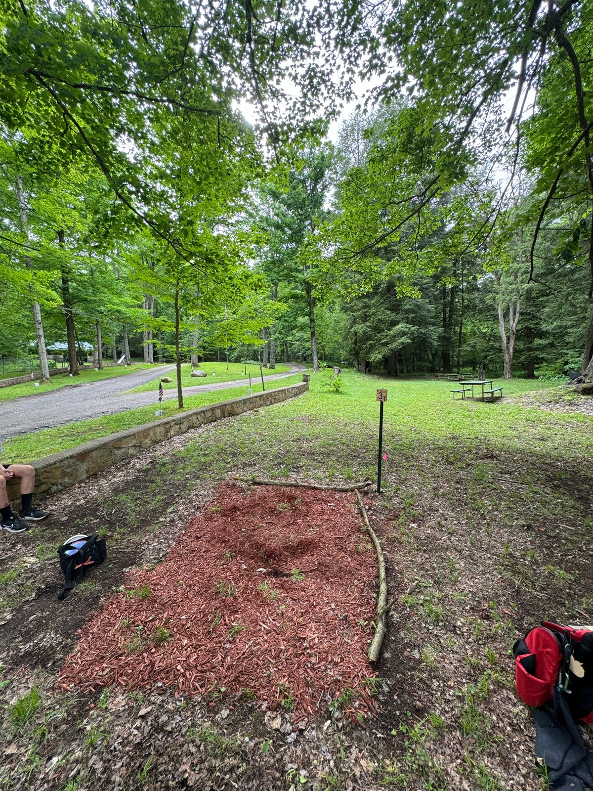 Hole 3 tee. Solid righty forehand line to pin.