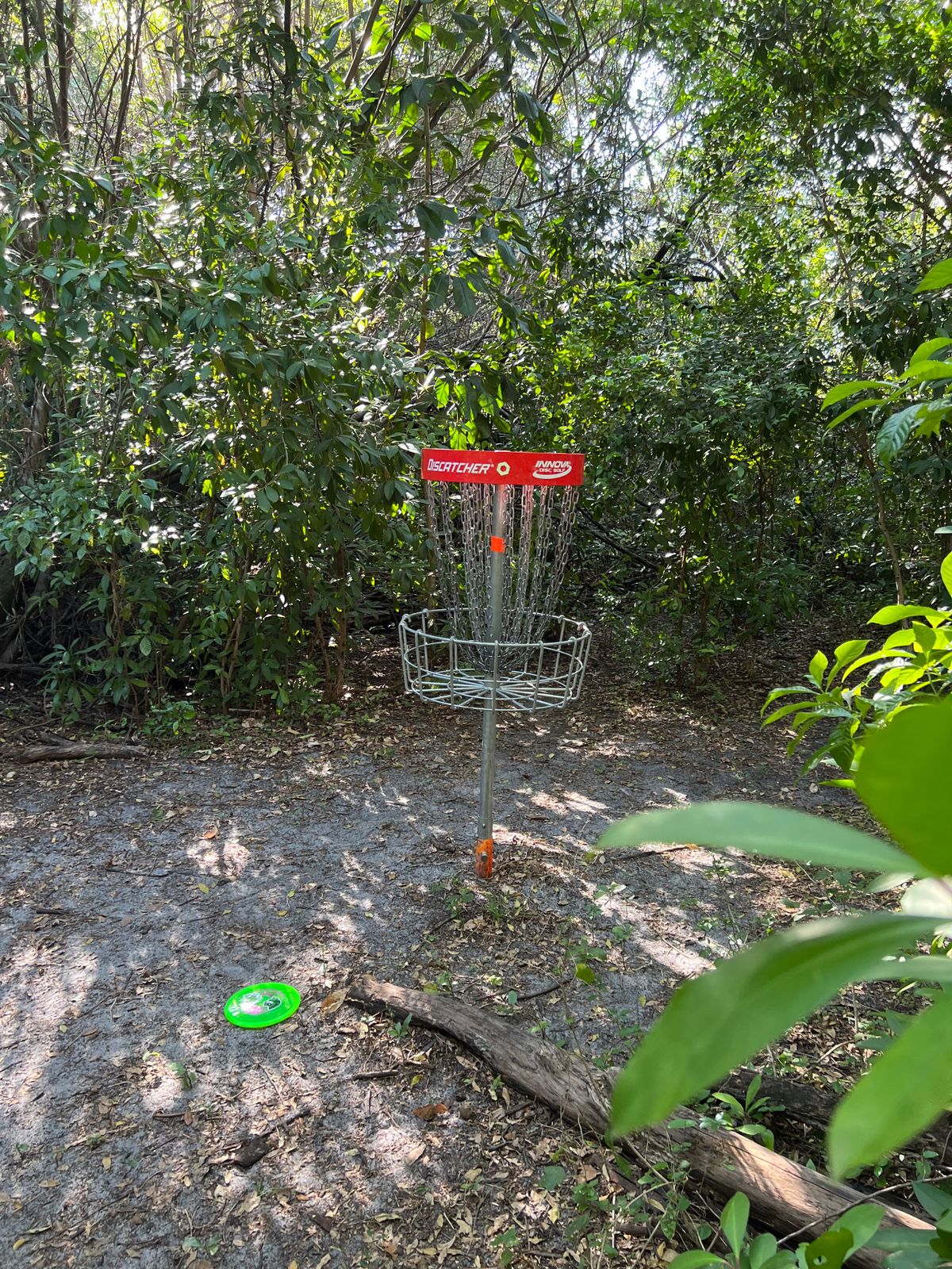 Hole 16 basket tucked way back in in circular opening in woods might be a par 4