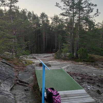 Hole#8