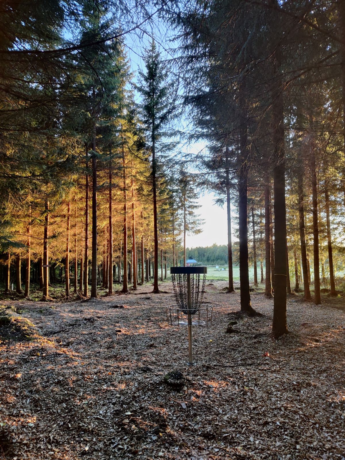 Hole 4 basket