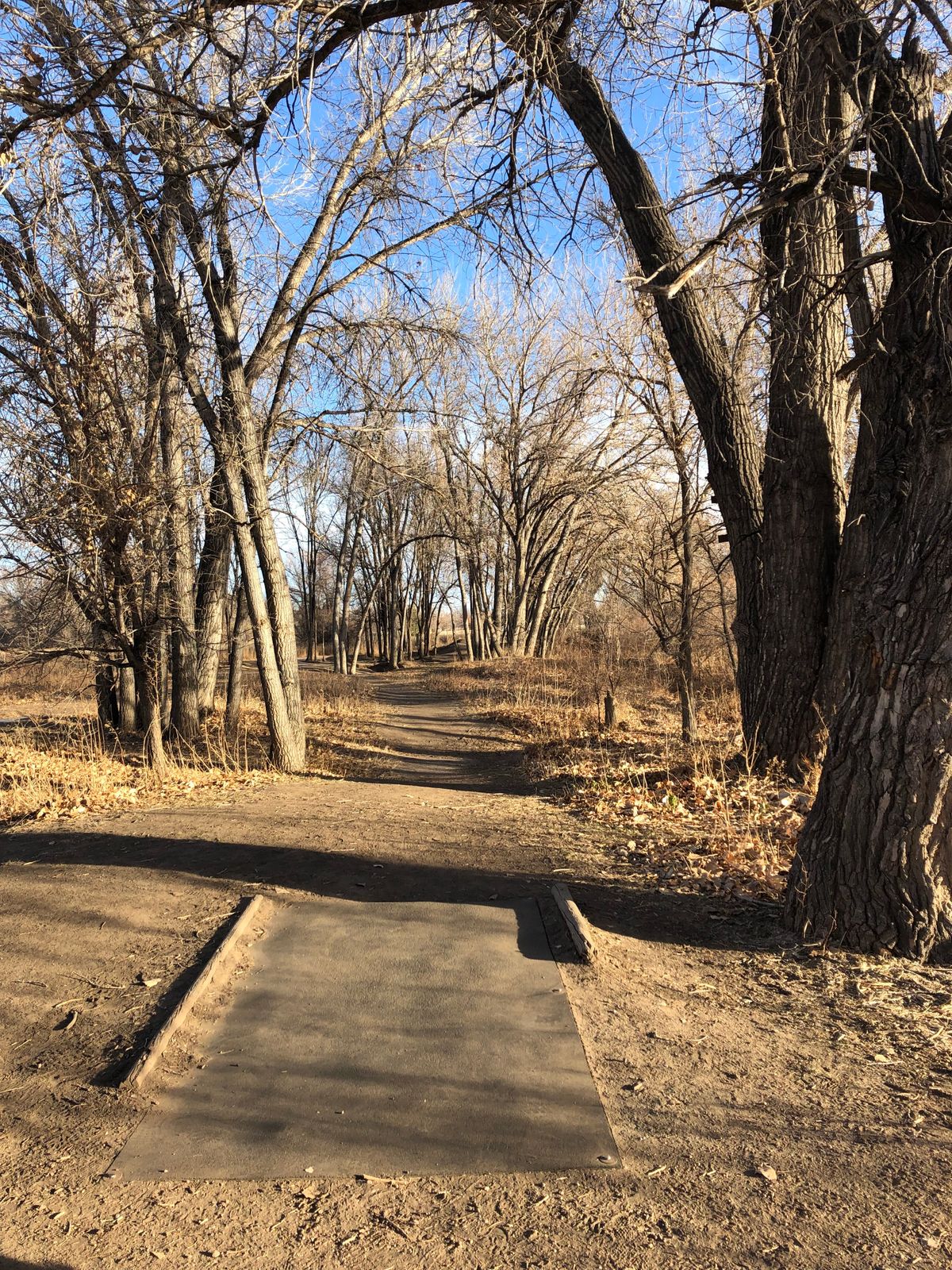 Hole 12