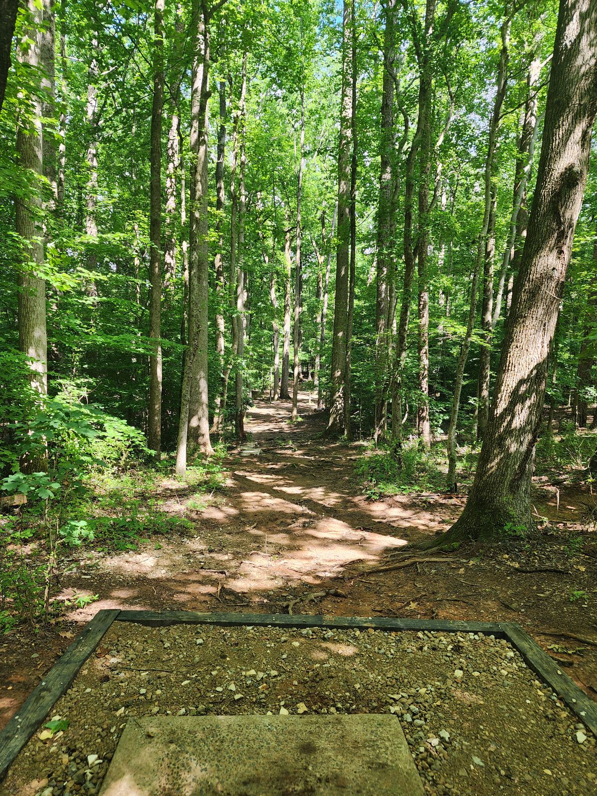 Hole 8 tee