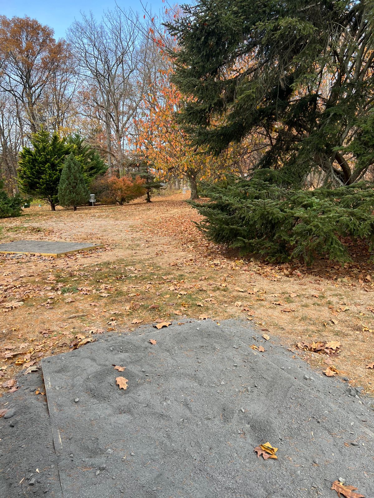 View from Hole 7’s Tee (playing to the basket on the right)