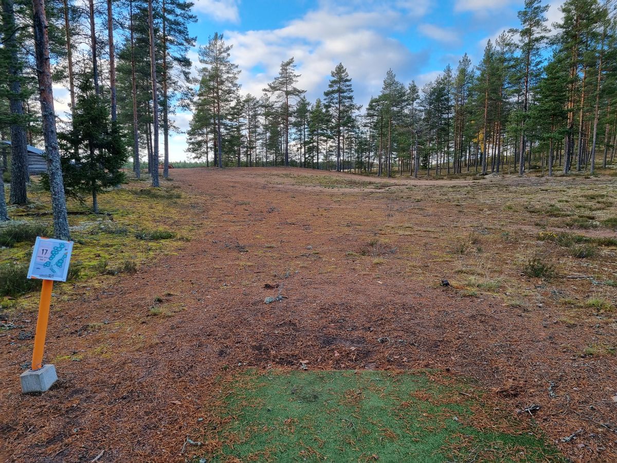 Väylä 17, puiden välistä tai yli aukealle josta oikealle pitkään ylämäkeen kohti koria