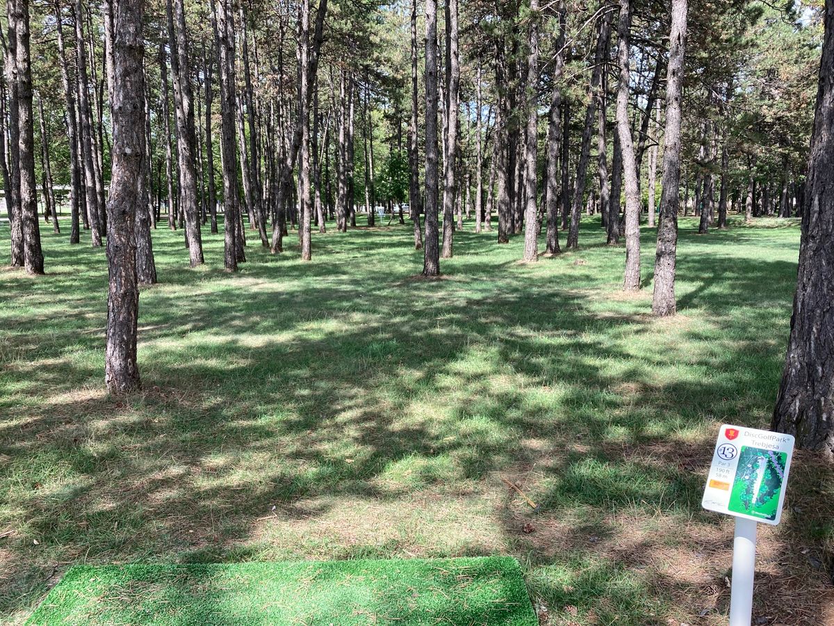 13 from the tee