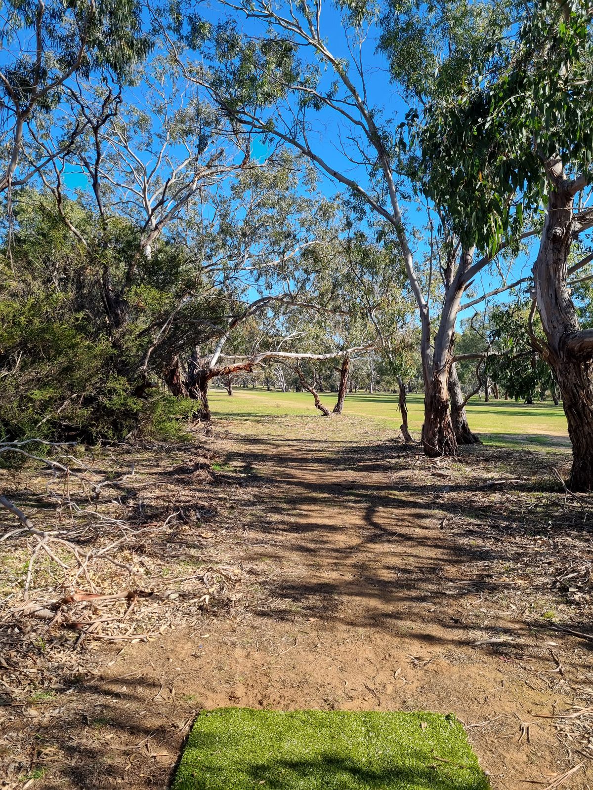 Hole 18. Another challenging low ceiling shot.