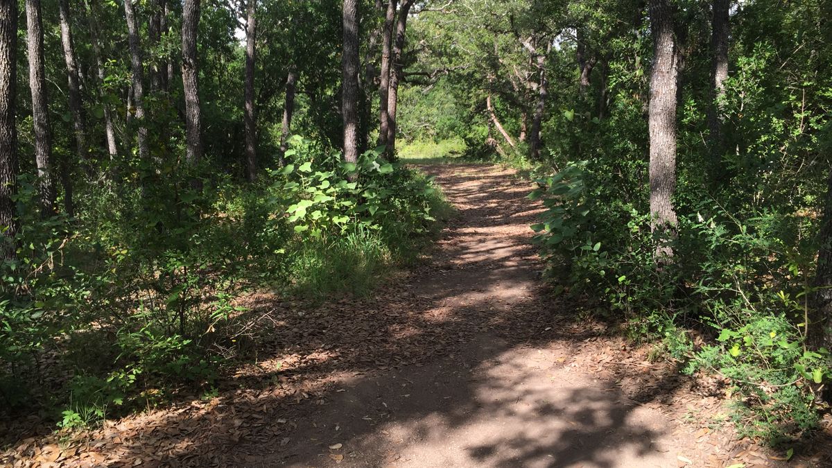 Hole 6