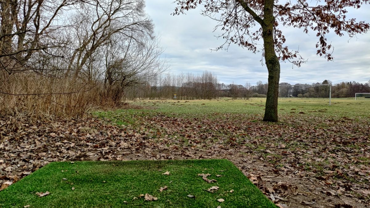 Tee 1