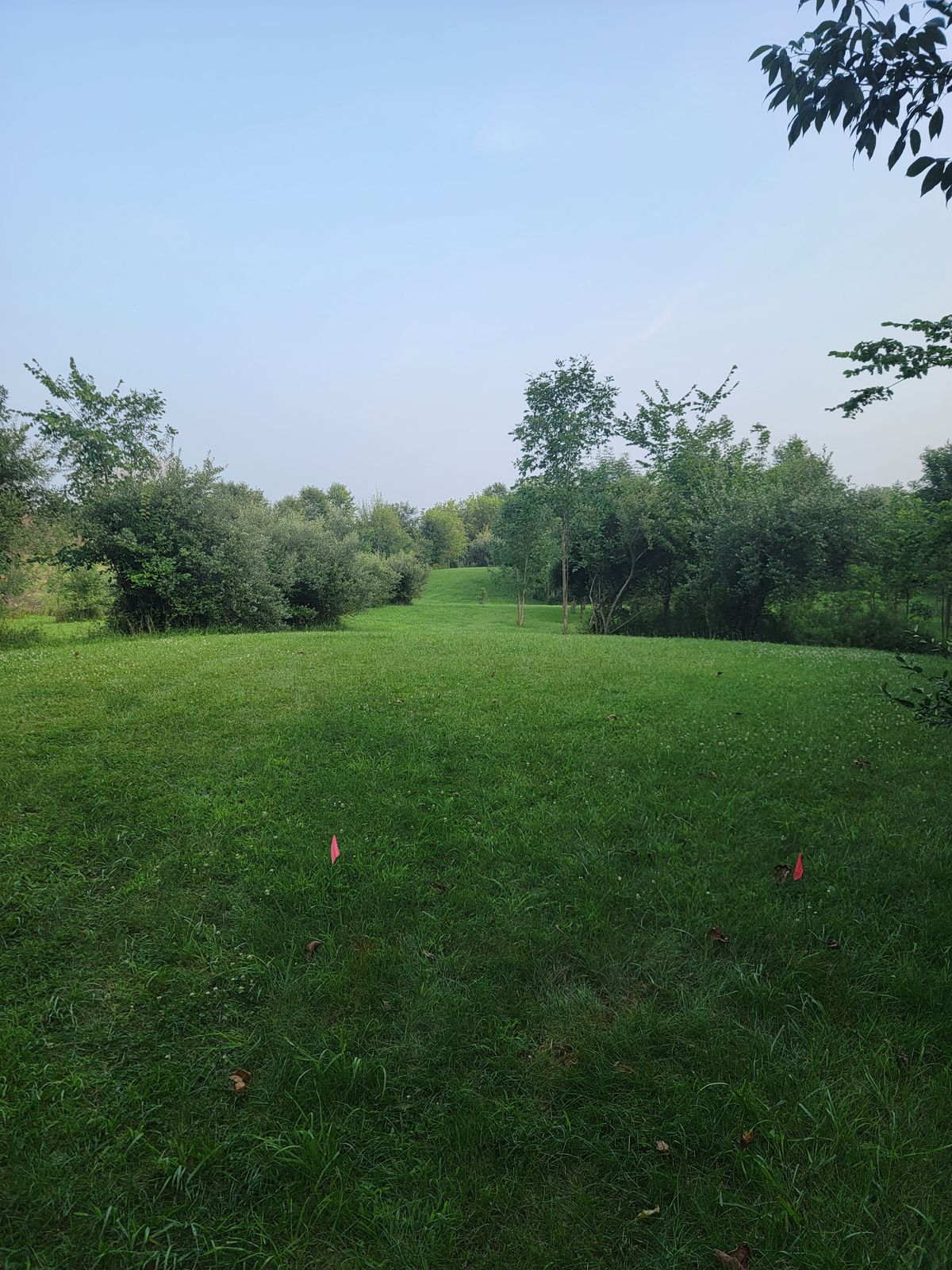 Hole 7