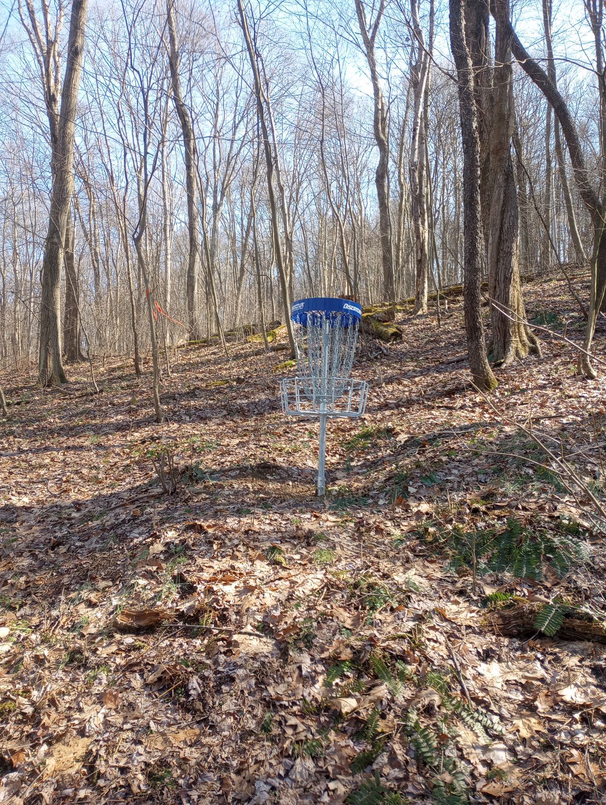 Hole 2 basket
