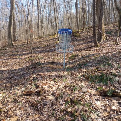 Hole 2 basket