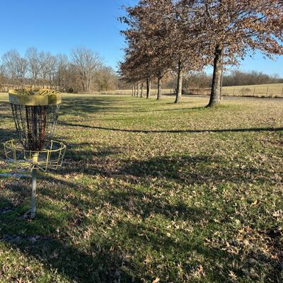 Hole #9 Basket to Teepad