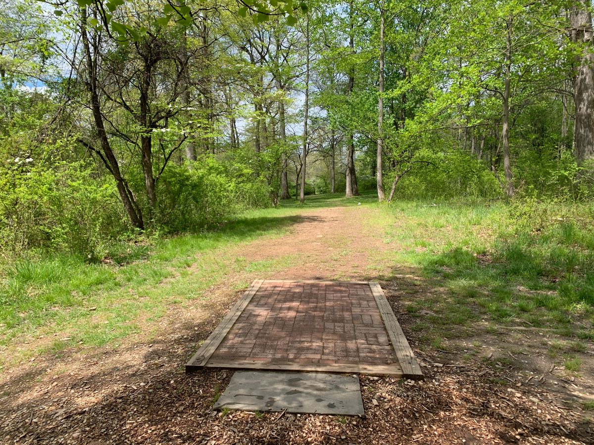 Hole 2 tee