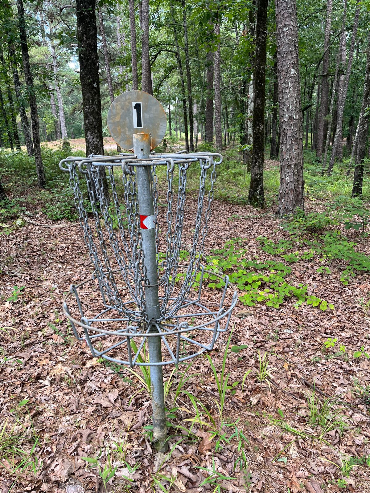 Hole 1 basket