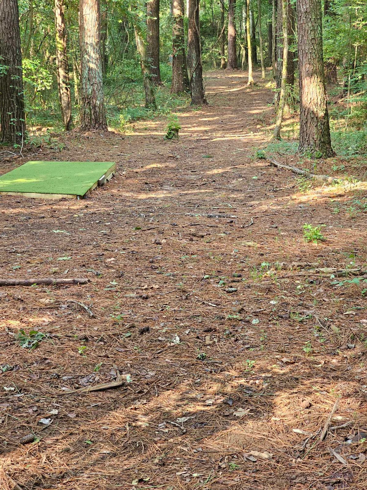 Hole#5