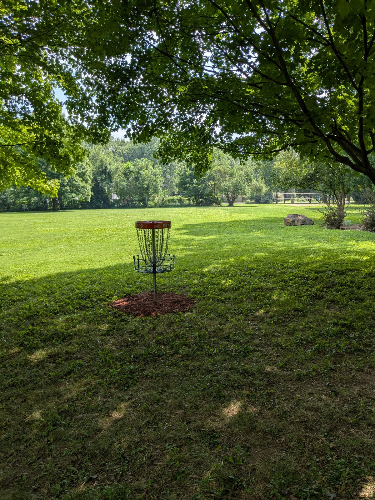 #4 Basket to Tee