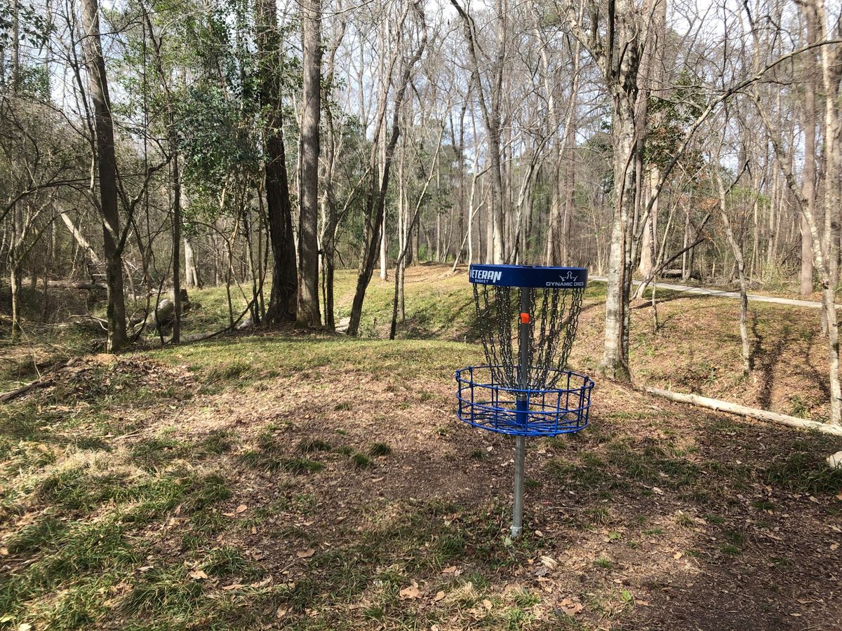 #1 basket to tee