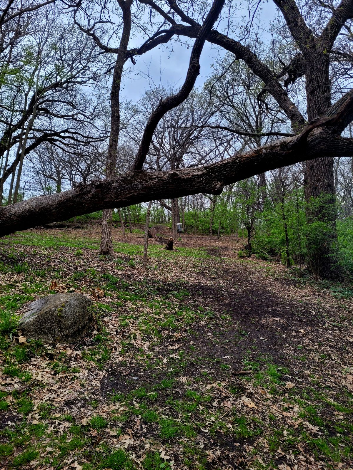 Hole 17 Approach