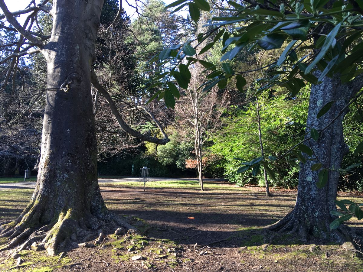 Hole 4 (Mando gap between the trees)