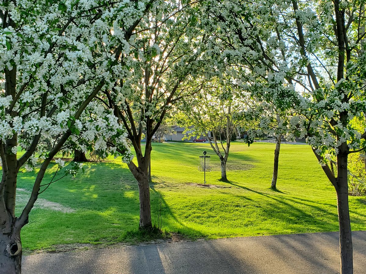 #9 near playground