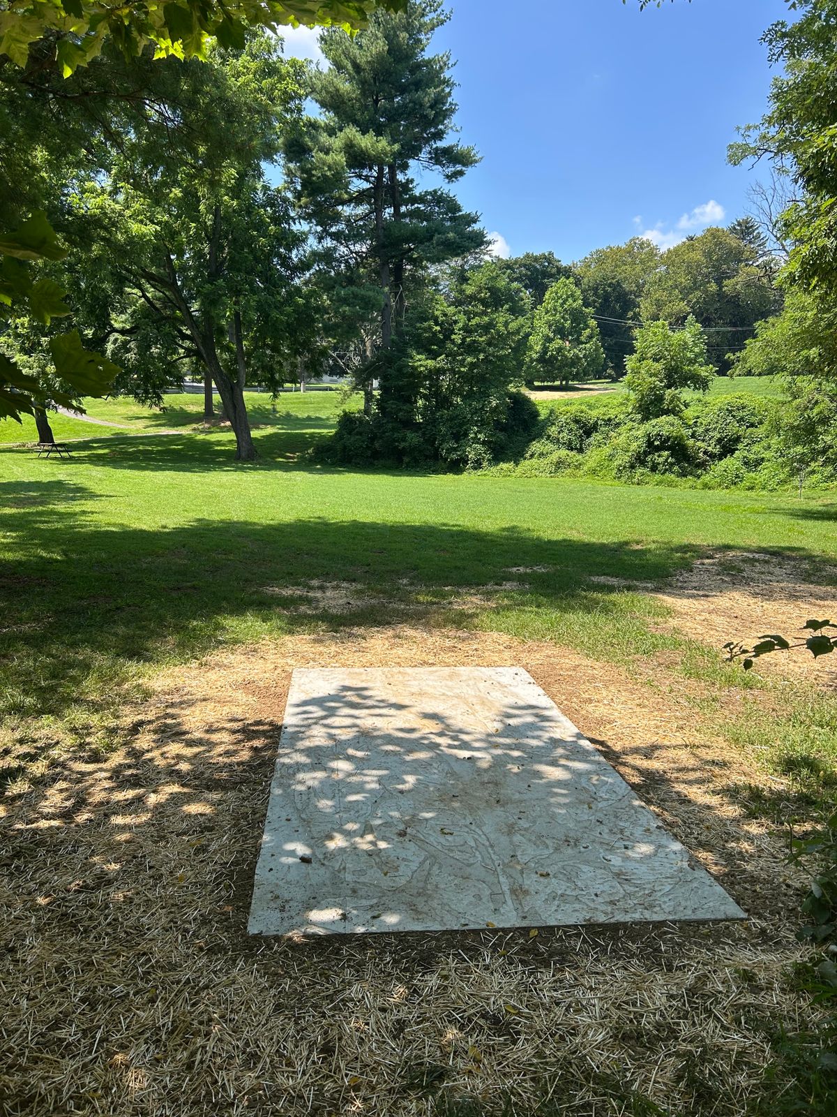 New concrete tee pad for hole #4
