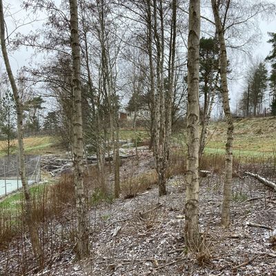Hål 5
