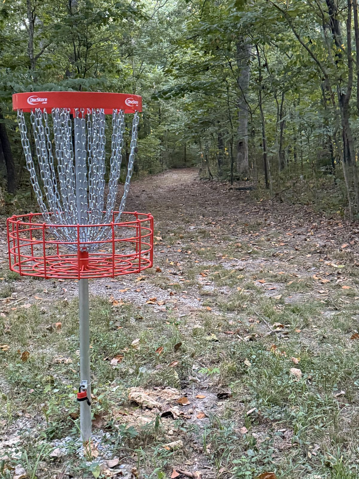 Hole 12 Basket