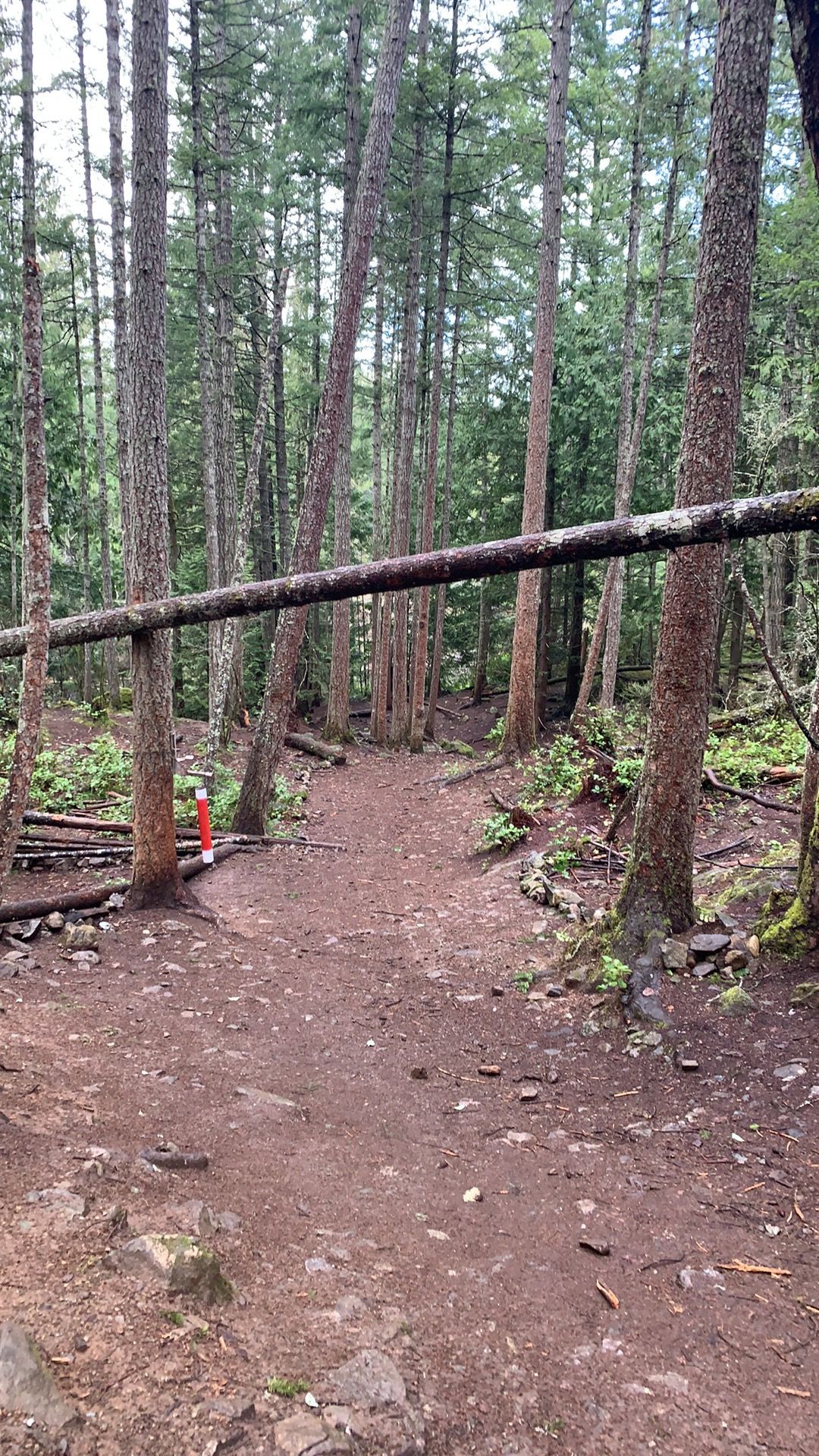 Hole 4