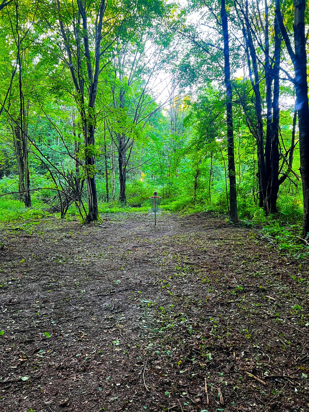 Hole 9 green