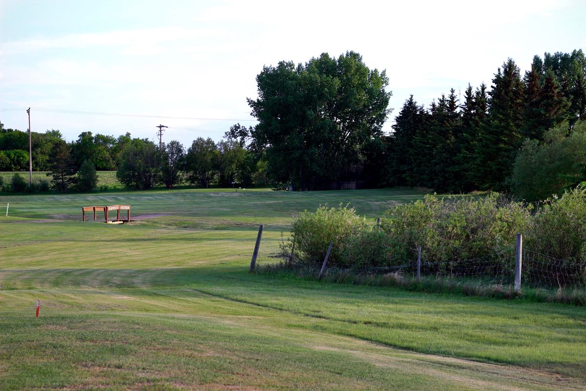 Blue Tee - Fairway