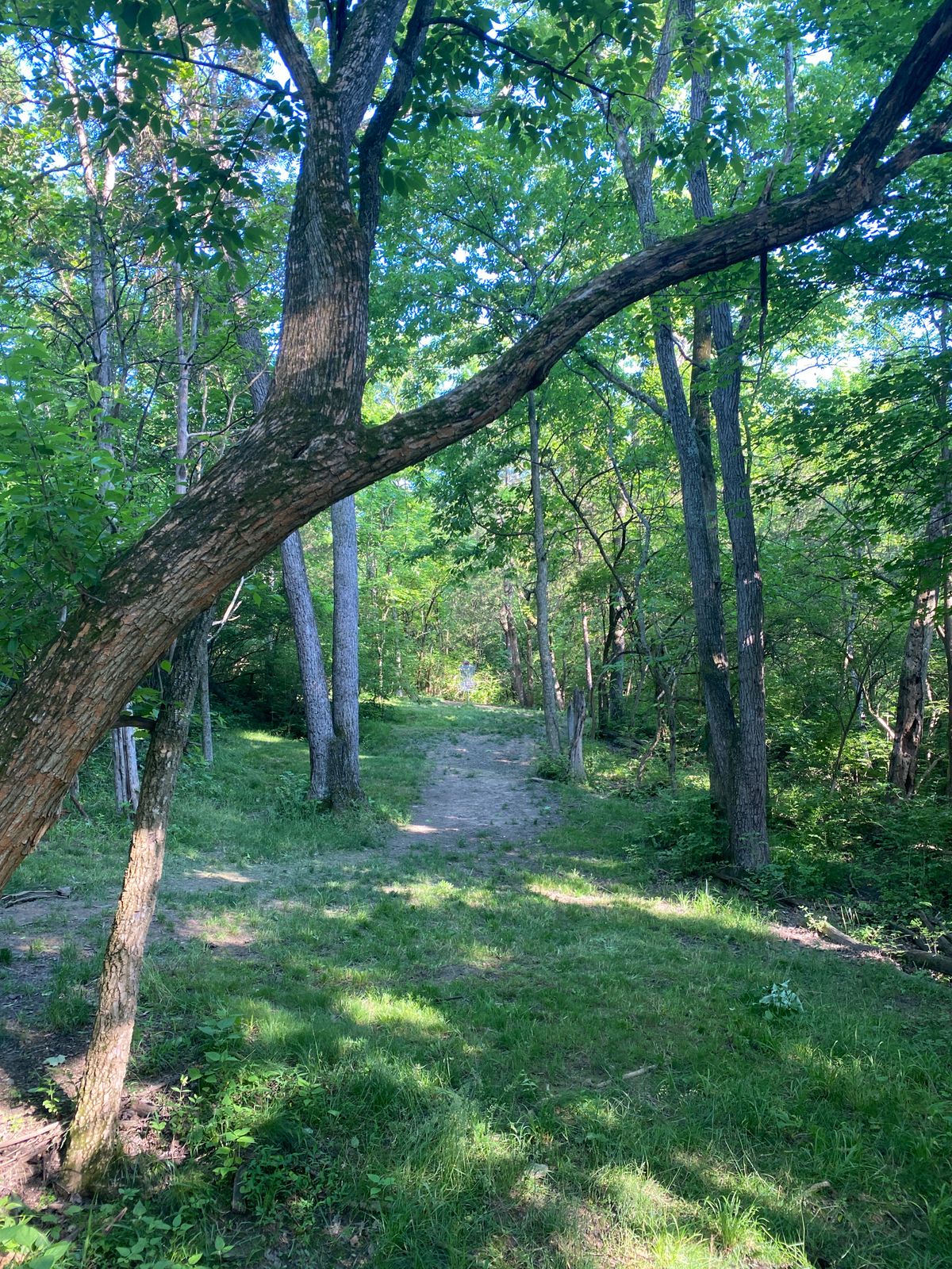 Hole 18 green