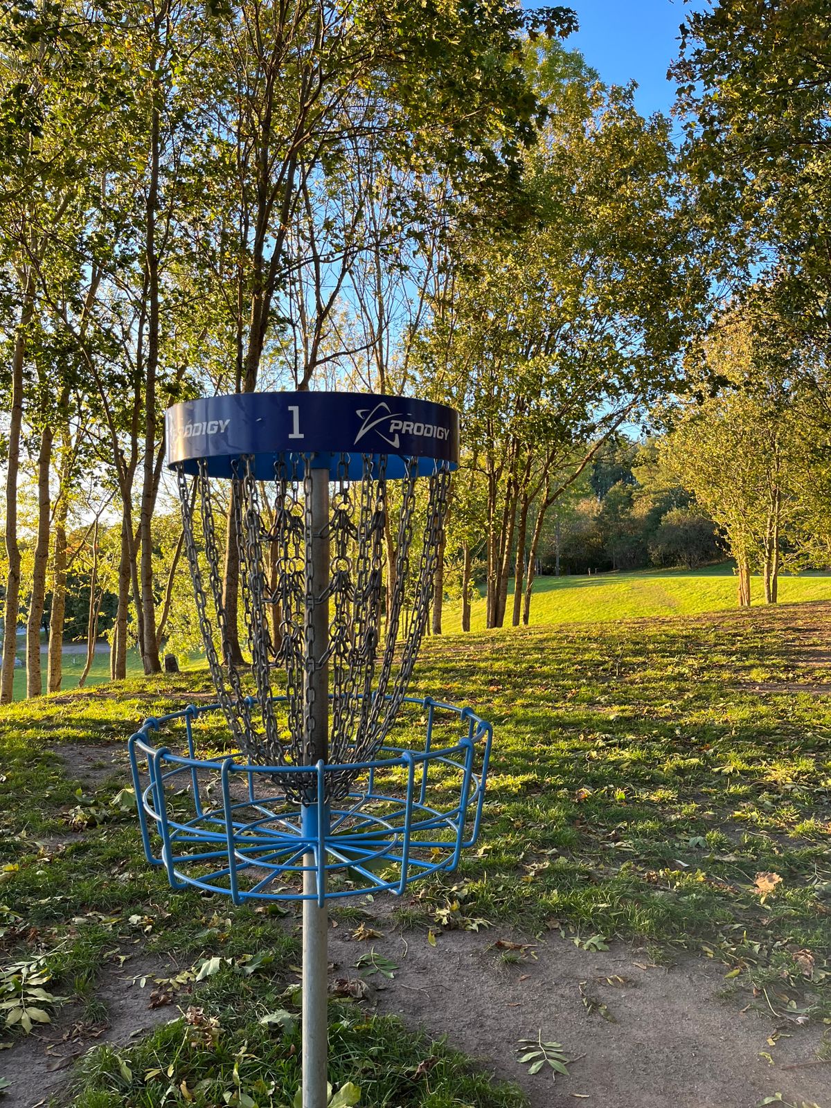 Hole 1, looking back towards the tee pad.