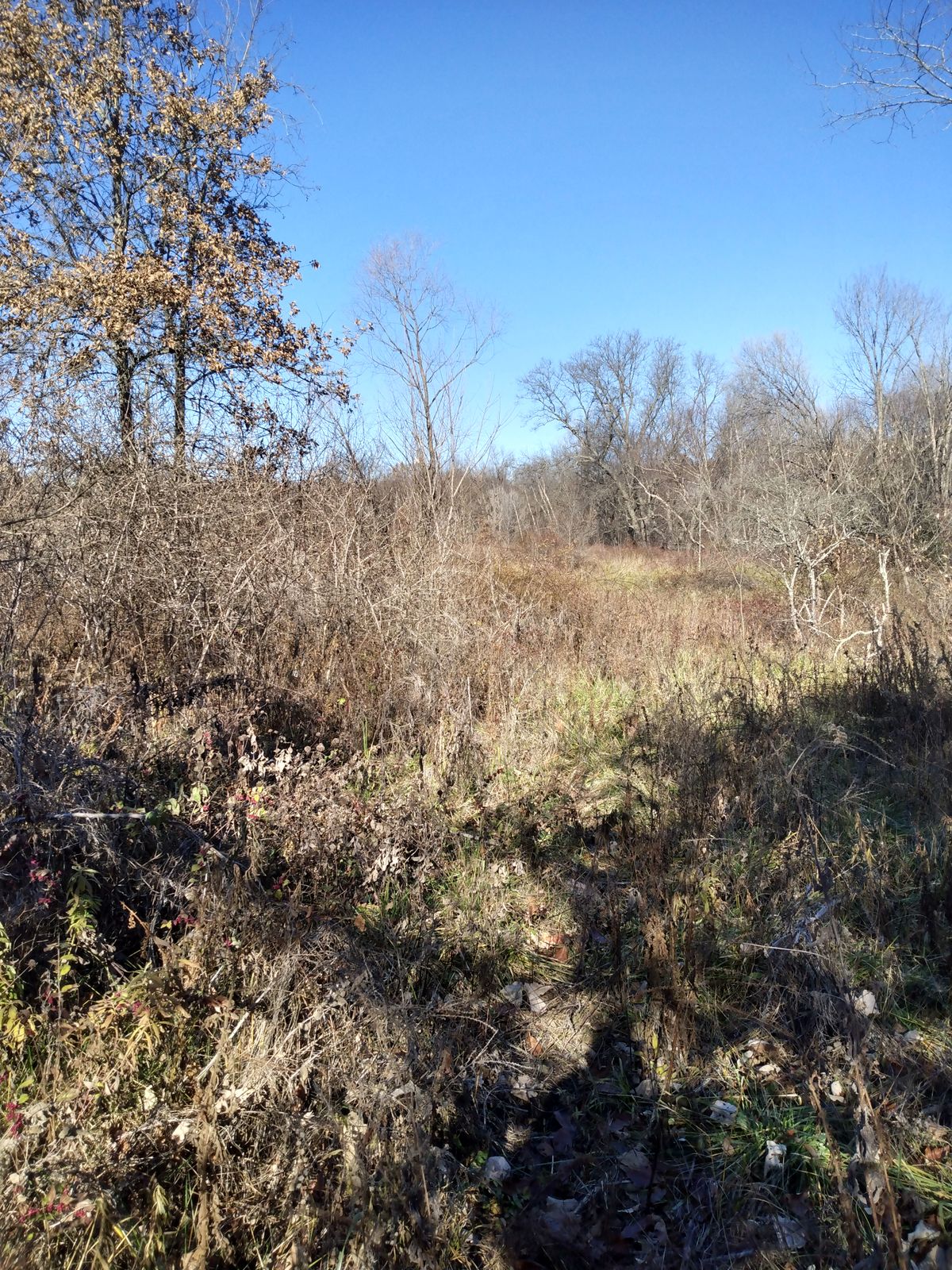 Hole 5