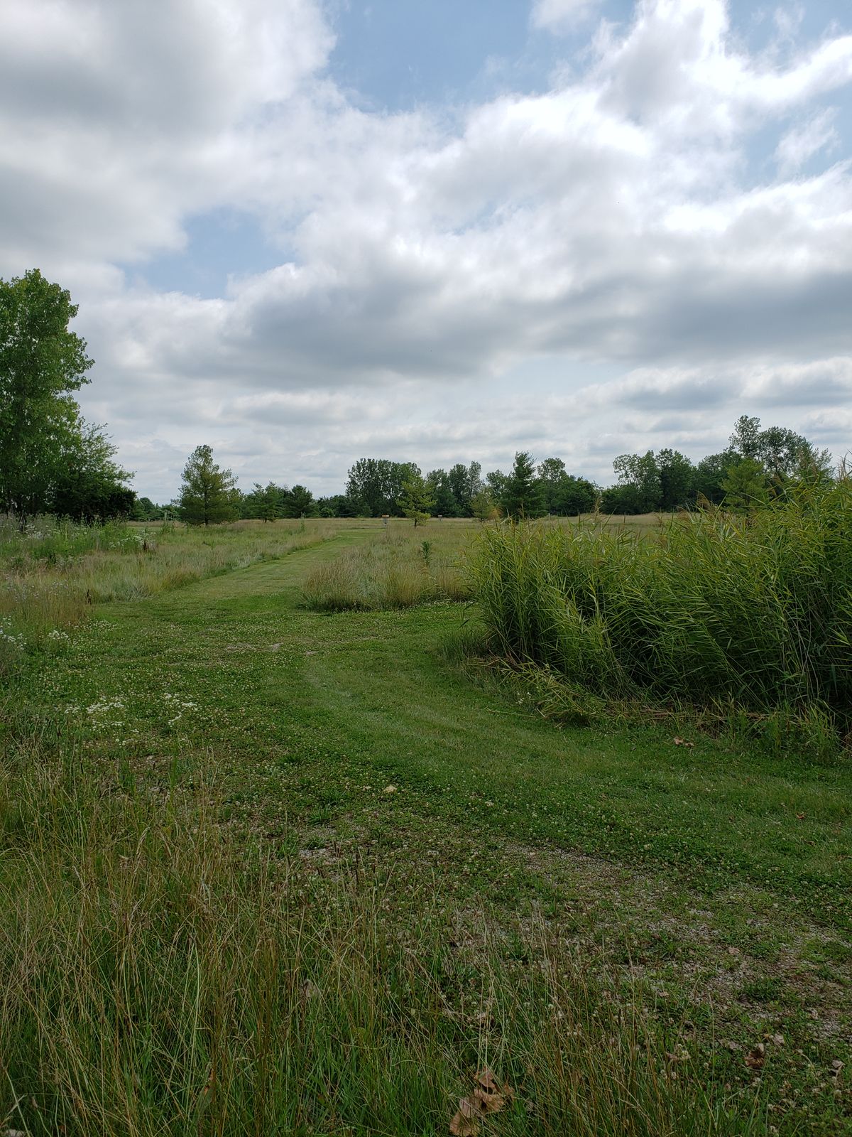 #9 View of Basket from beside water trap.