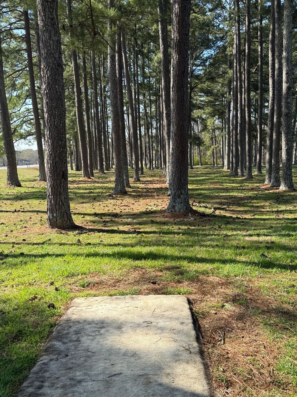 Hole 11 Tee box view