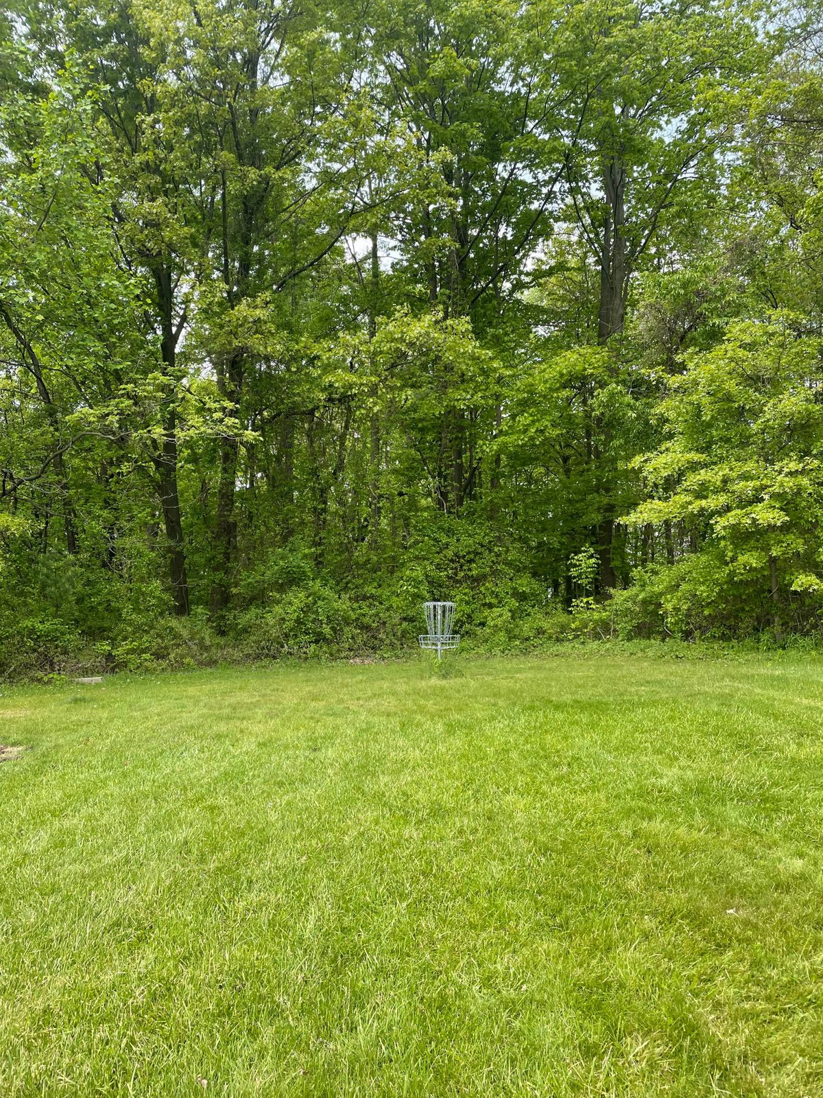 Hole 2, green