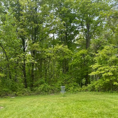Hole 2, green