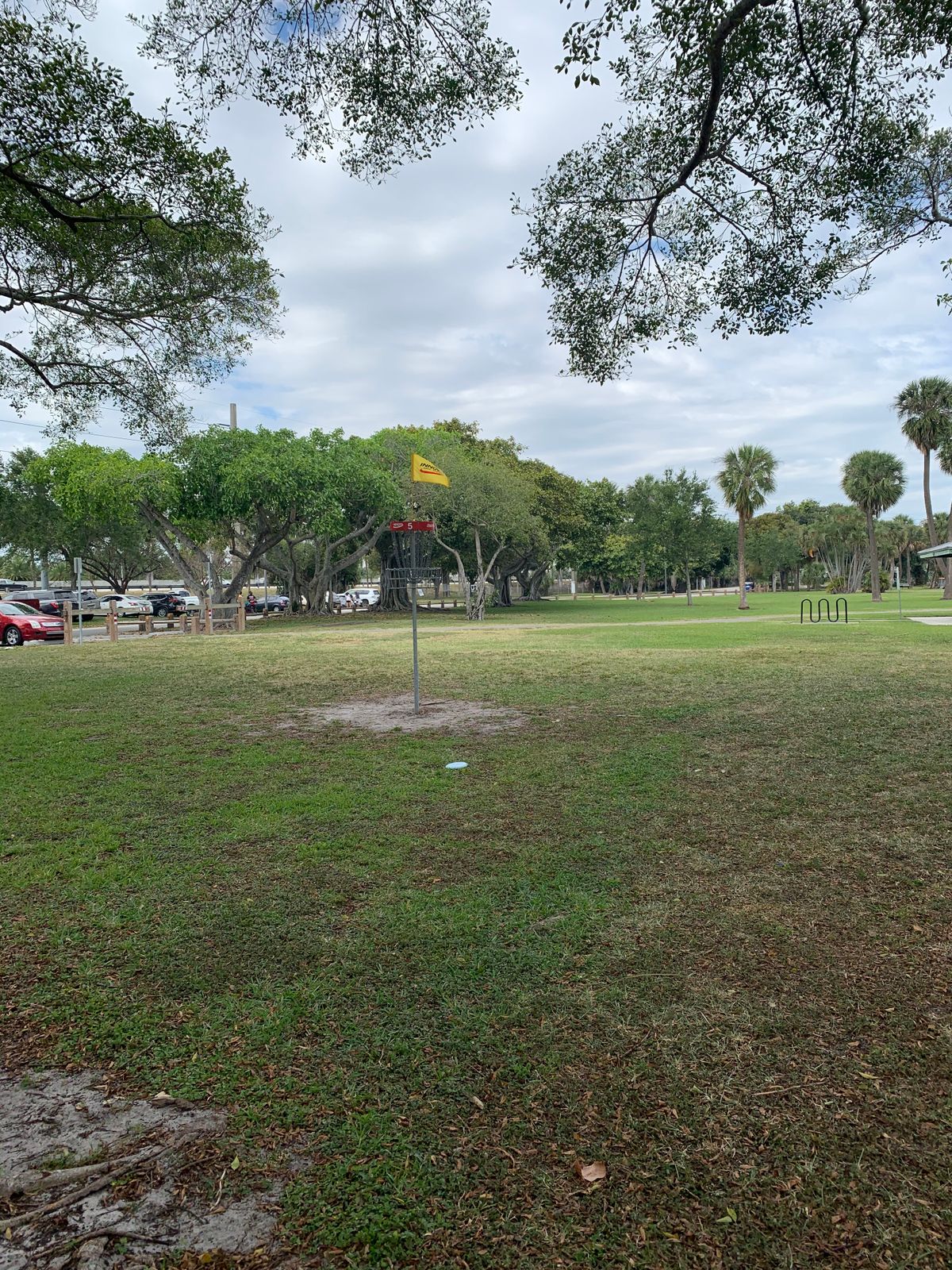 Elevated basket on hole 5
