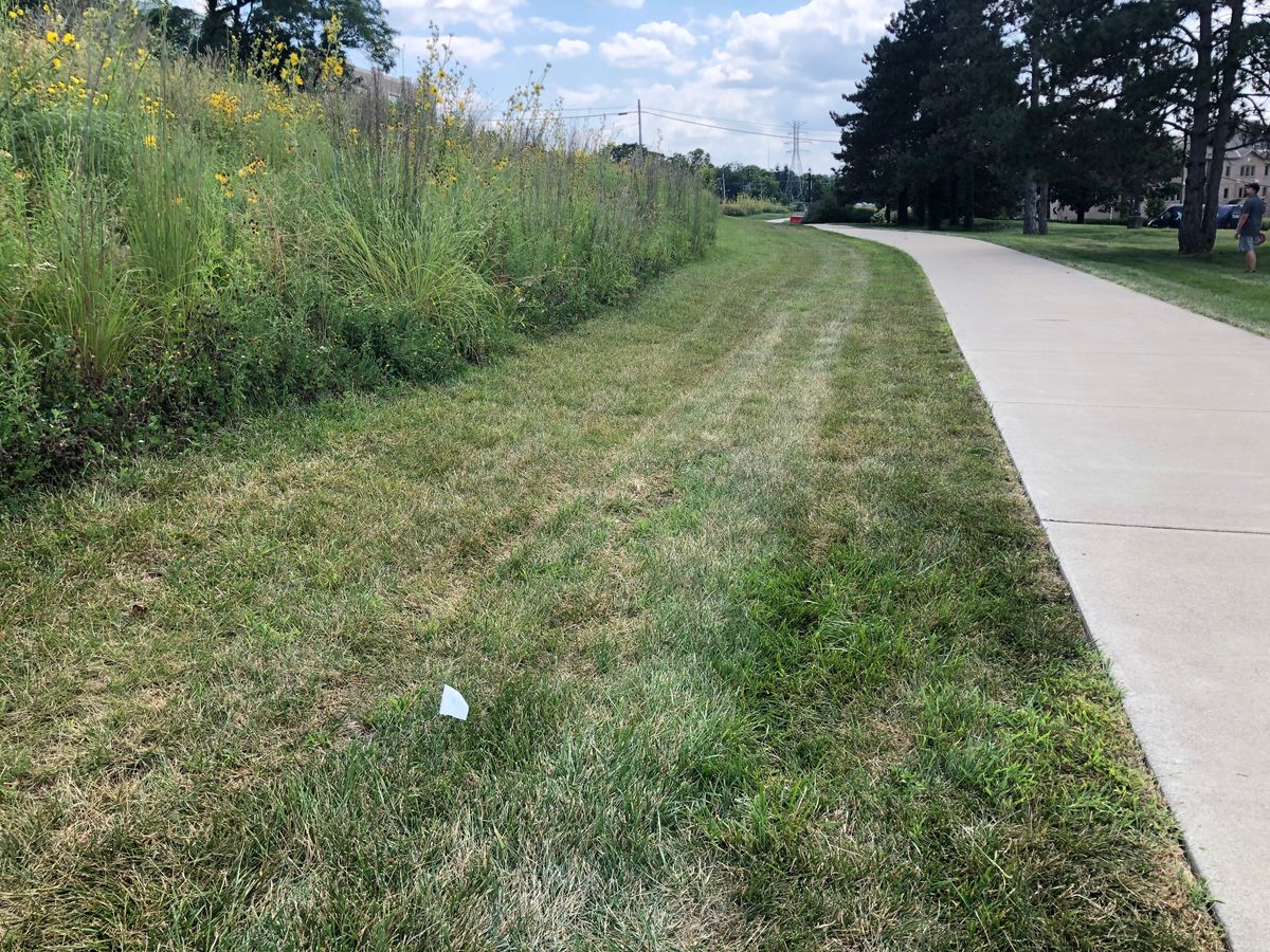 Hole 8 tee