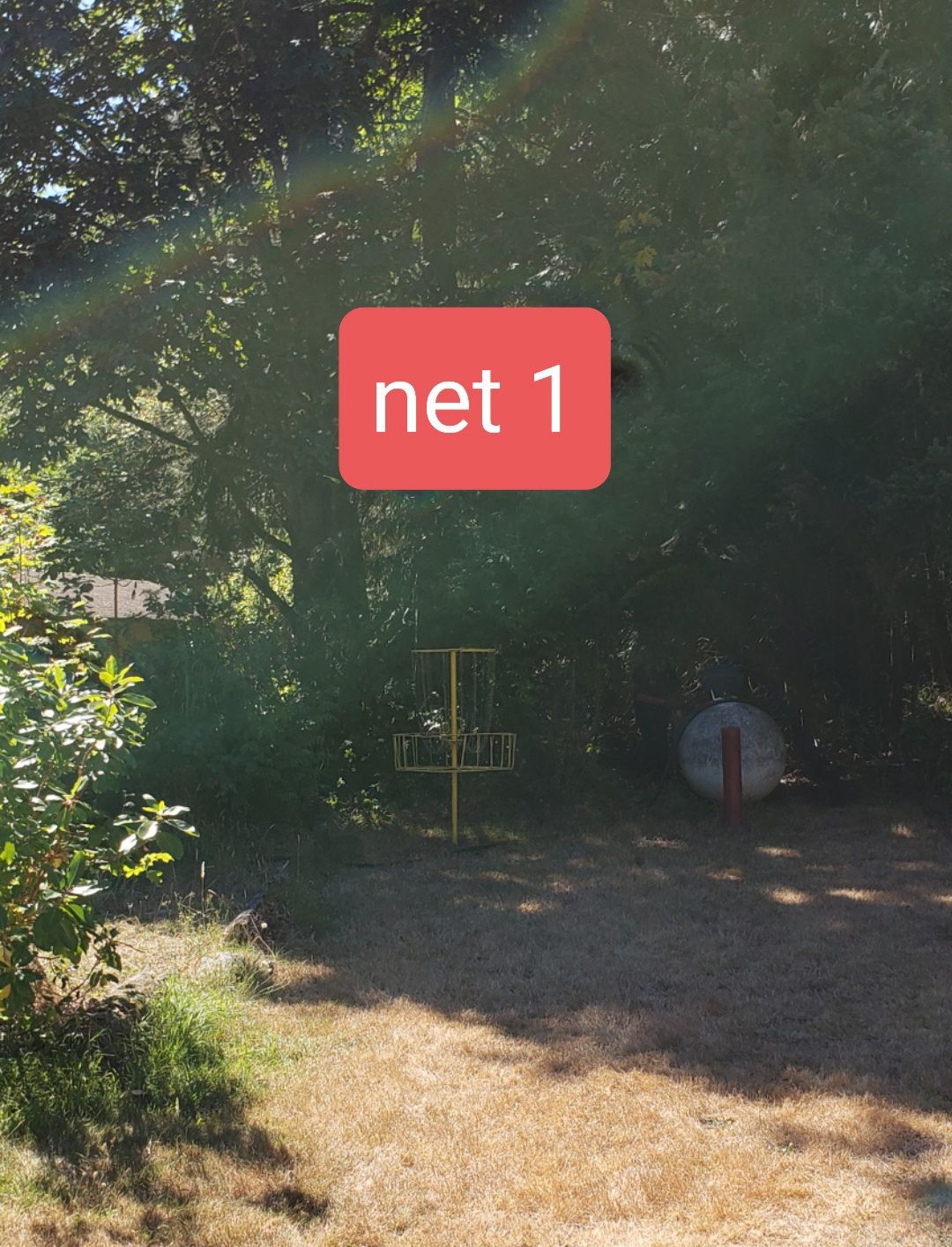 Net 1